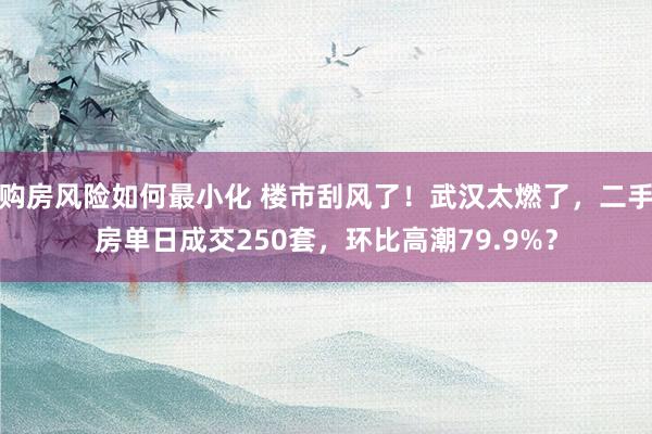 购房风险如何最小化 楼市刮风了！武汉太燃了，二手房单日成交250套，环比高潮79.9%？