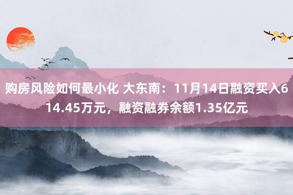 购房风险如何最小化 大东南：11月14日融资买入614.45万元，融资融券余额1.35亿元