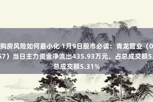 购房风险如何最小化 1月9日股市必读：青龙管业（002457）当日主力资金净流出435.93万元，占