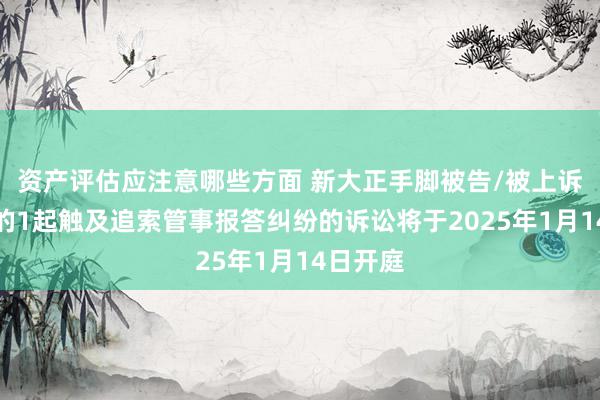 资产评估应注意哪些方面 新大正手脚被告/被上诉东谈主的1起触及追索管事报答纠纷的诉讼将于2025年1月14日开庭