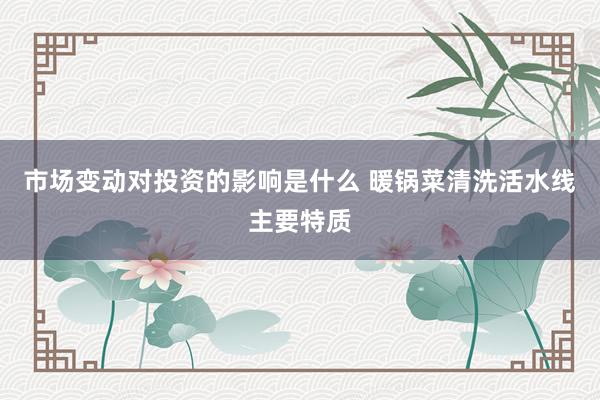 市场变动对投资的影响是什么 暖锅菜清洗活水线主要特质