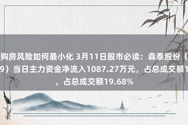 购房风险如何最小化 3月11日股市必读：森泰股份（301429）当日主力资金净流入1087.27万元