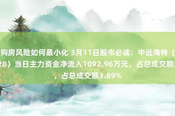 购房风险如何最小化 3月11日股市必读：中远海特（600428）当日主力资金净流入1092.96万元，占总成交额3.89%